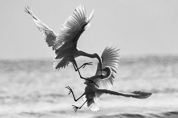 Commercial Property Dispute Resolution